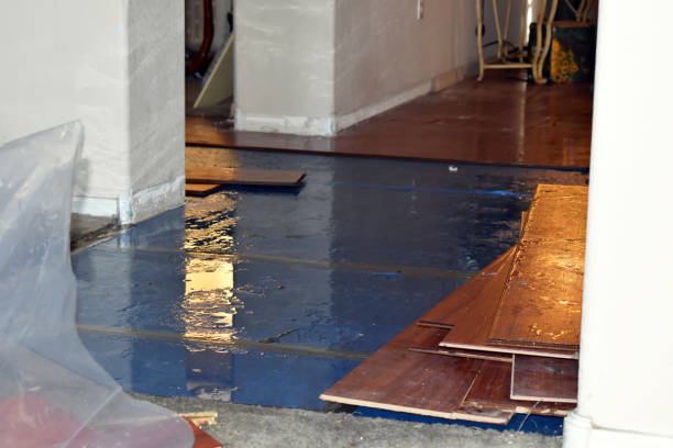 Professional Sewage Cleanup technician working in Lowell, MI
